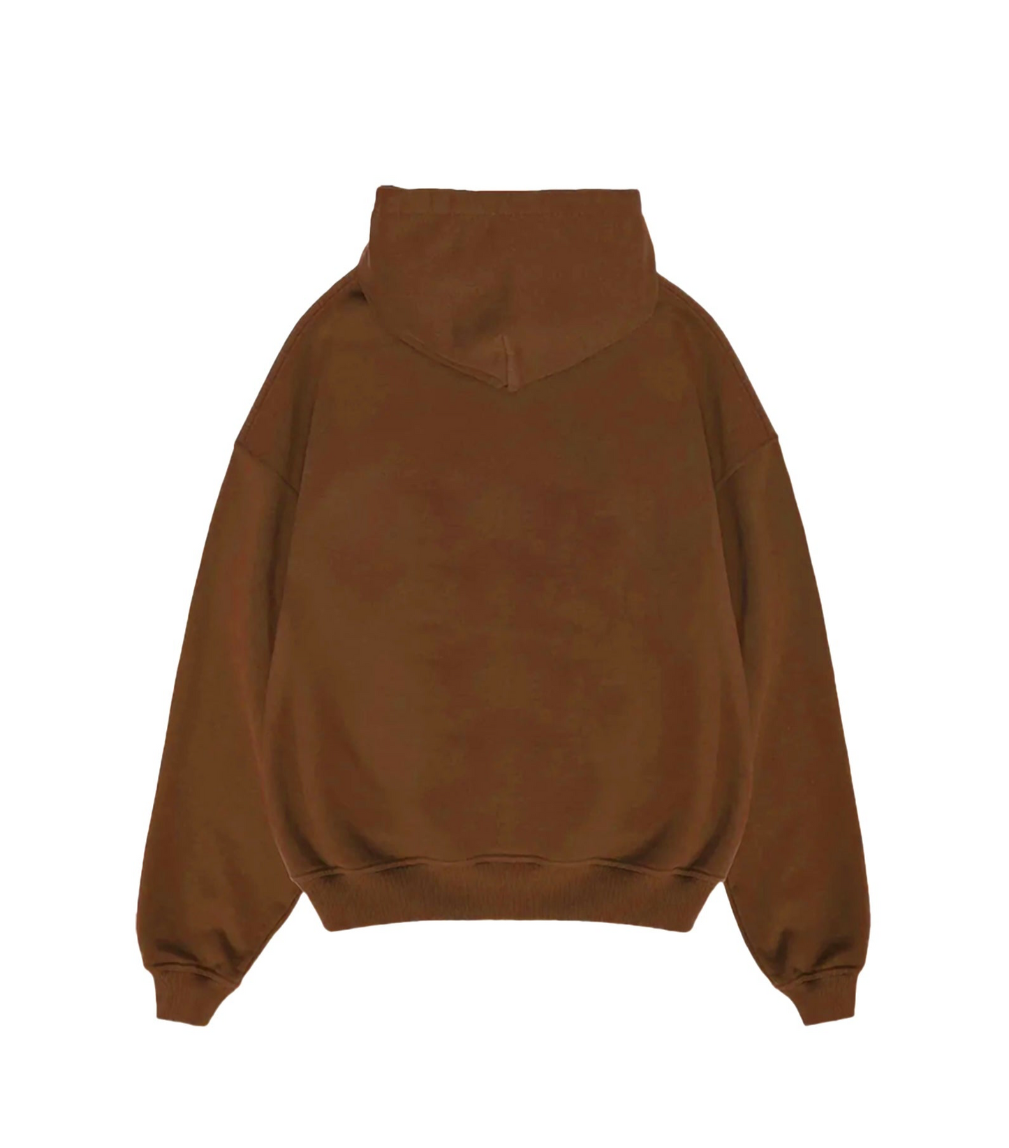 Crowned lion hoodie