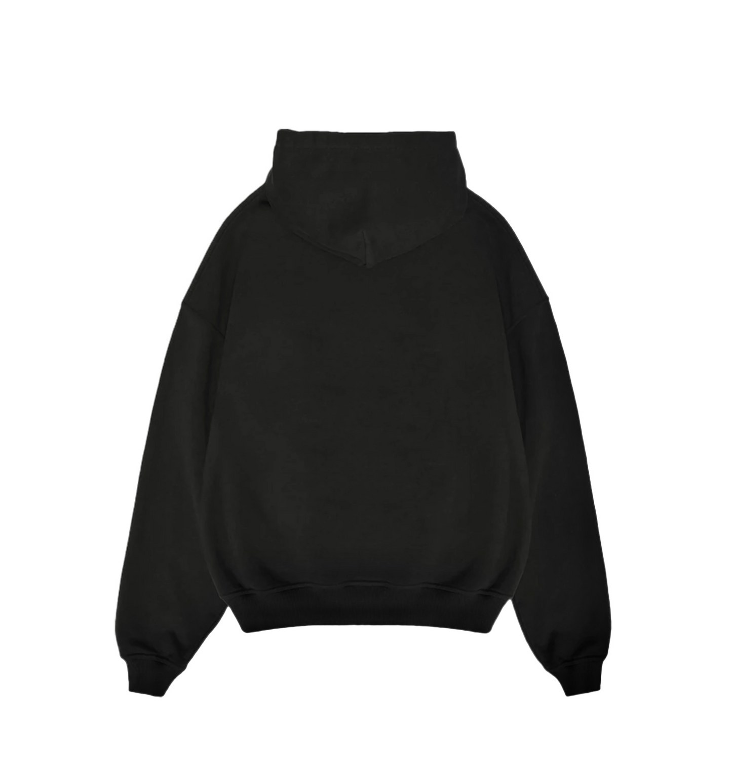 Crowned lion hoodie