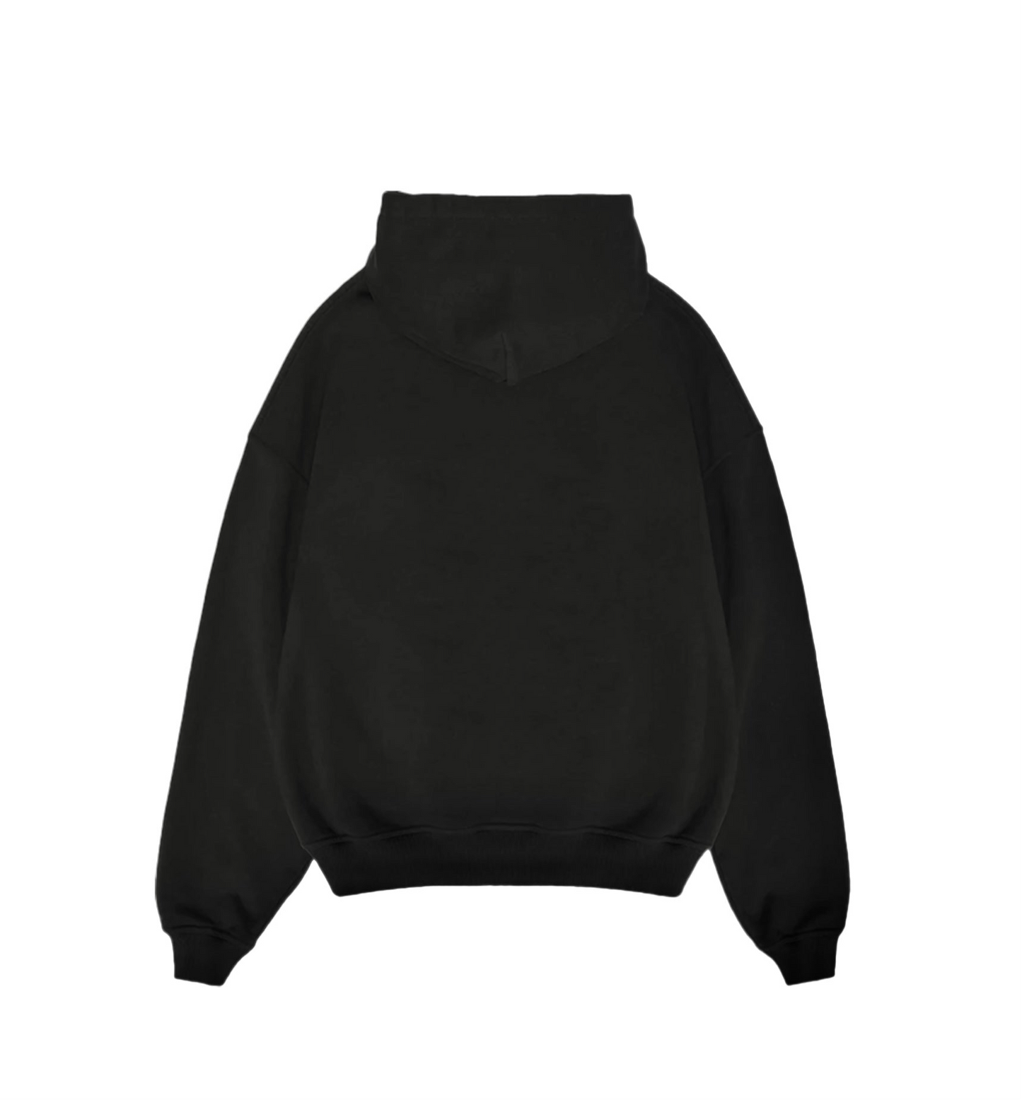 Carpe diem hoodie